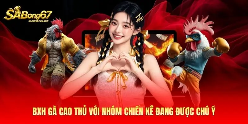 BXH gà cao thủ với nhóm chiến kê đang được chú ý BXH gà cao thủ với nhóm chiến kê đang được chú ý