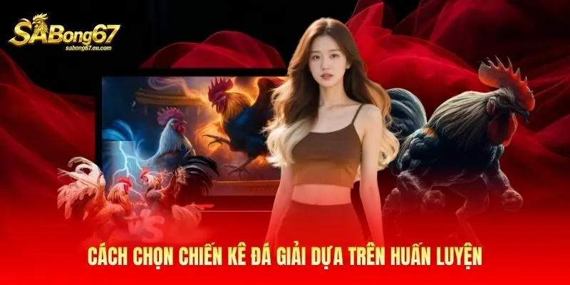 Cách chọn chiến kê đá giải dựa trên huấn luyện Cách chọn chiến kê đá giải dựa trên huấn luyện
