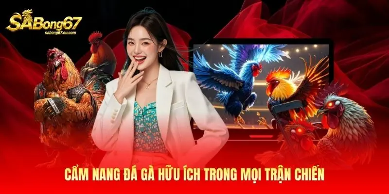 Cẩm nang đá gà hữu ích trong mọi trận chiến