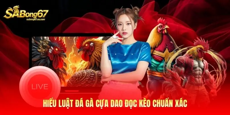 Hiểu luật đá gà cựa dao đọc kèo chuẩn xác Hiểu luật đá gà cựa dao đọc kèo chuẩn xác