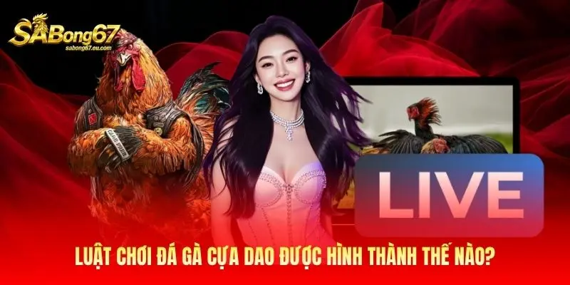 Luật chơi đá gà cựa dao được hình thành thế nào? Luật chơi đá gà cựa dao được hình thành thế nào?