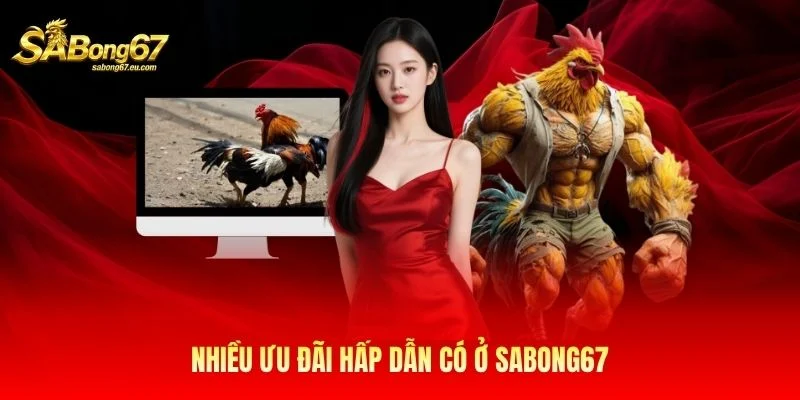 Nhiều ưu đãi hấp dẫn đang chờ bạn Nhiều ưu đãi hấp dẫn đang chờ bạn