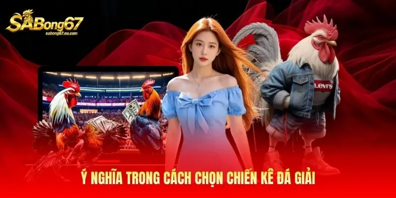 Ý nghĩa trong cách chọn chiến kê đá giải Ý nghĩa trong cách chọn chiến kê đá giải